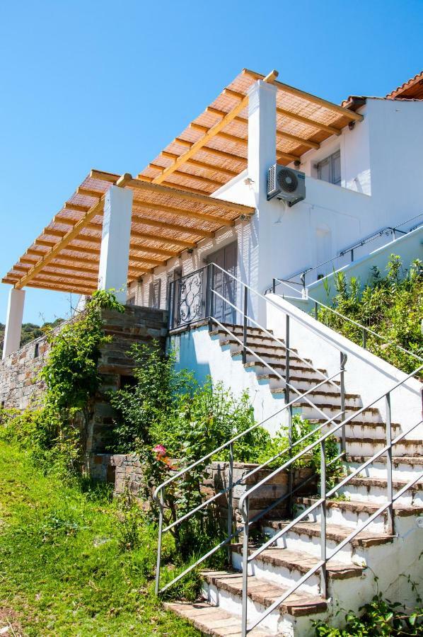 Villa Von Sophia Petriaí Dış mekan fotoğraf